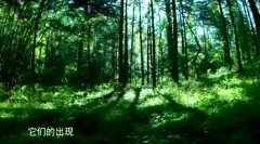 美国向乌提供贫铀武器遭多方反对:“犯罪行径”!丨世界观