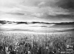 知青岁月易却 故乡亲情长存