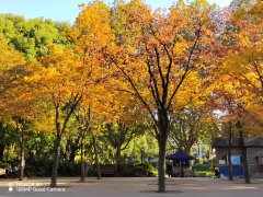 中老年人要注意,一天中有5个“危险时刻”