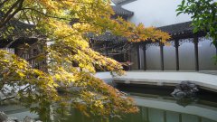 ȫʣйĵʲ-йӦȫΣսԵ