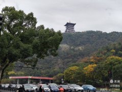 临海风光美 知青情更深