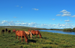 ϰƽ10ƪشʡϵ֮Ϊʱک