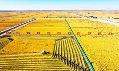 中国将“看似有毒土地”做为“突破口”