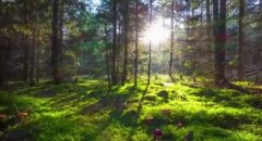 ӡңңȡŷųɣʯͳڸַ仯