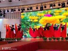 花开的季节,雷锋来了