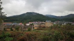 返城之前的寻找和思索