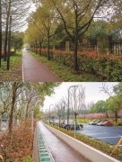 尽享世纪公园“城市绿肺”之美