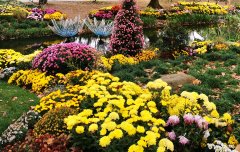 年龄上去,如何做减法