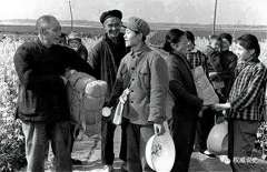 知识青年上山下乡运动