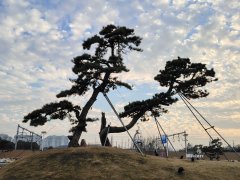 申城明日出梅!将迎来6天高温