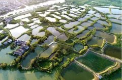 这次的灾害为什么发生在华容团洲