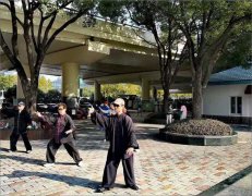 上海养老科技产业园下月竣工交付