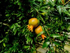 “吊脖子”火了,“现代病”如何破