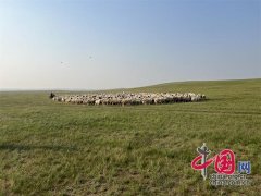 边疆嘎查“致富经”