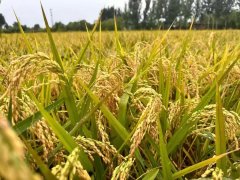 刘健泰:生活并不全是诗与远方一一 记录生活之八