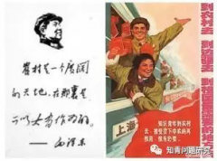 上海为什么是输出知青最多的城市?