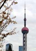 引客来沪,百名东北游客包机深度游