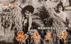 难忘岁月:我们的插队生活