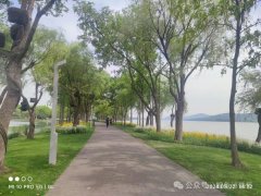 曾经有过的日子