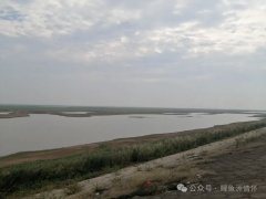 回知青第二故乡鲤鱼洲诗六首