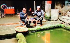 莫让“小意外”变“大遗憾”,冬季老年人防摔知多少