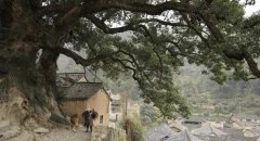 知青诗歌唱与和