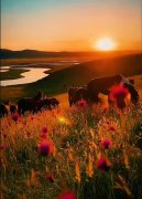 ̩|ԭϵ֪һһ ¼֮ʮ