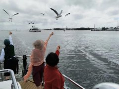 从黄金海岸到悉尼的精彩旅程