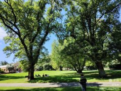 澳新之旅(四)澳大利亚之墨尔本