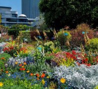 1.5ﻨ·ѿţϺĪλ԰¡