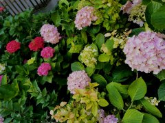 ֱﴵġҩ Ʒװȴдšǹ