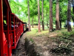 ̩|ʱ ˾ ̵ӡϼ֮ʮһ