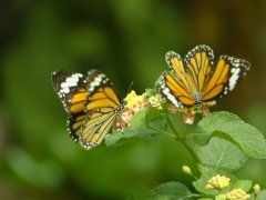 你有什么记忆法宝