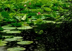 良师益友再聚首