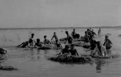 上山下乡运动中云南兵团与插队落户知青的来源地构成及历史背景