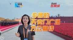 »̸ֳ | 񳿵찲Ź㳡ڴ