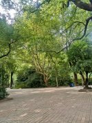 ̩|˳徲 ؽԹ顪Ц̸ֹˮ֮ʮ