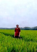 ̩|· ǳ֪Ц̸ֹˮ֮ʮ