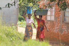 津巴布韦人不想再做“亿万富翁”