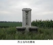 生命记忆之烈火丹心