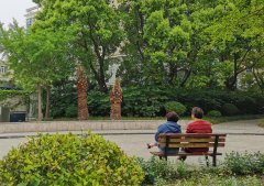 �Ϻ��漰�����˼໤Ȩ������������