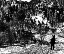 [�����ֺ�]��ѩԭ�ϵĽ�����