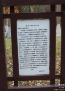 �Ϲ���|������ţ��������