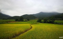 ֪��־Ϊ��ǿ�����ϵ���Ҫ��