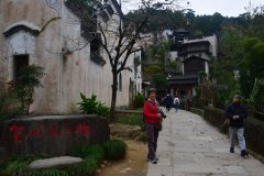 银发看世界,跟团游还是自在行?