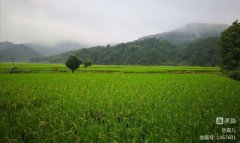 ��������������ż���ʷ