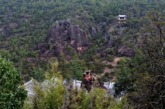 ����Ұ��������Ϊ���ű���ͣ��