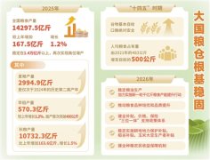 这群种粮的年轻人