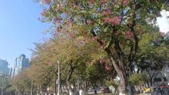 ÷����������