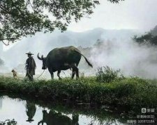 �𱣻��鼮���ܡ�����������